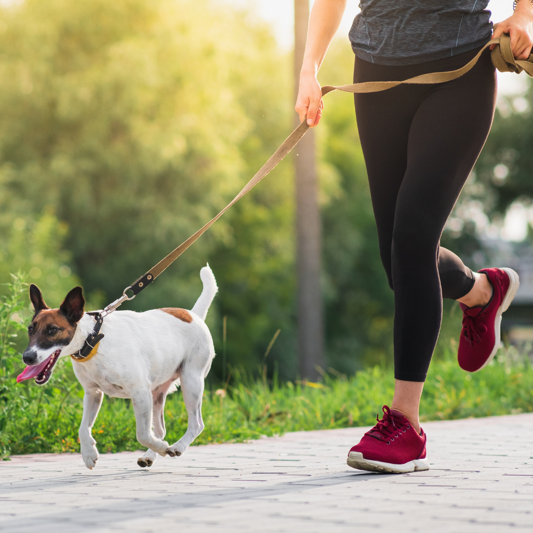 Woman Running with dog- Healthy Legs at Vein Specialist of Augusta